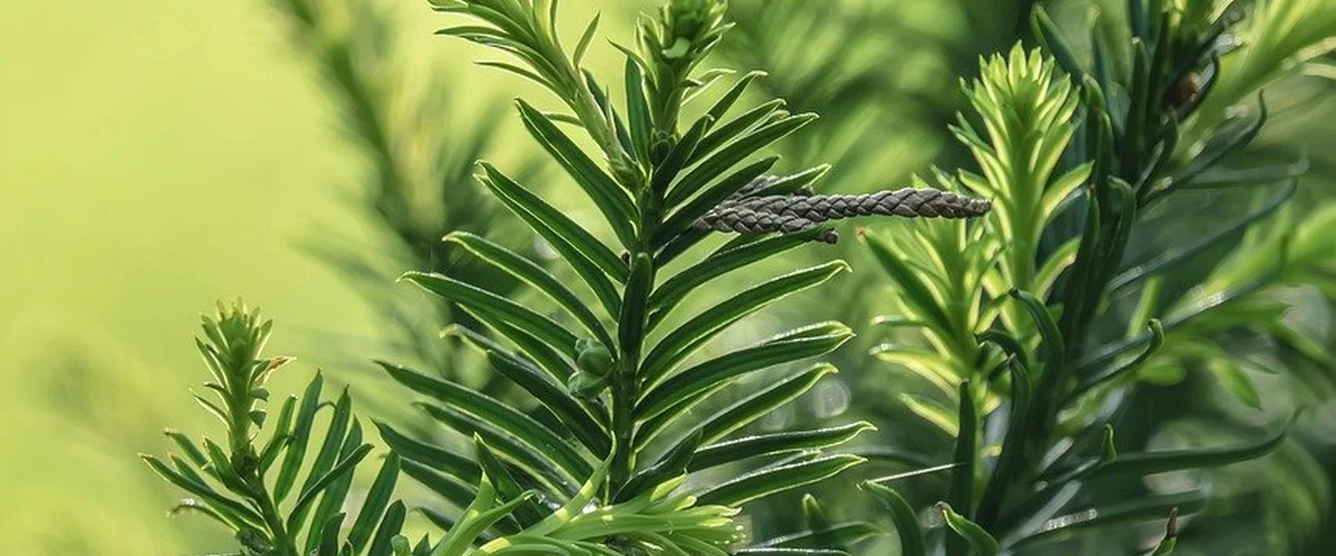 博彩网站PG电子