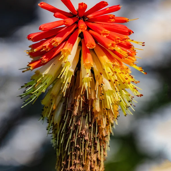 博彩网站棋牌游戏